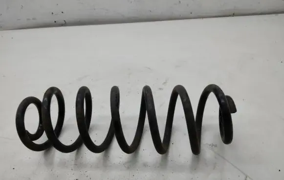 Rear coil spring