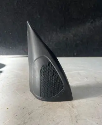Front door speaker
