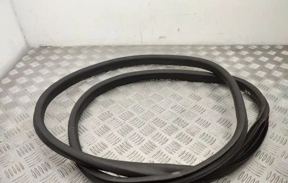 Ford Fiesta Front door rubber seal 