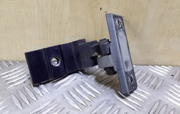 BMW X5 E70 Rear door lower hinge 7160826