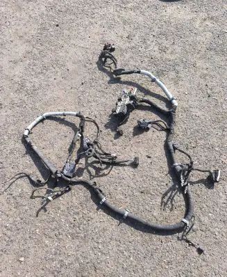 Ford Mustang VI Other wiring loom AU5T14603GB 021419686