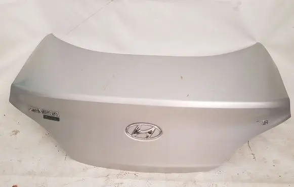 Hyundai Genesis Back/rear loading door 