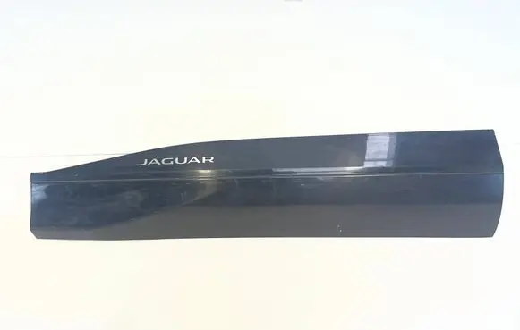 Jaguar I-Pace Front door trim (molding) J9D321065A