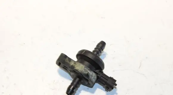Vacuum valve