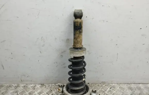 Porsche Cayenne (9PA) Rear shock absorber with coil spring 7L5512021
