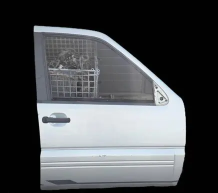Nissan Terrano Front door