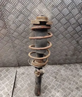 Skoda Octavia Mk2 (1Z) Front shock absorber with coil spring 