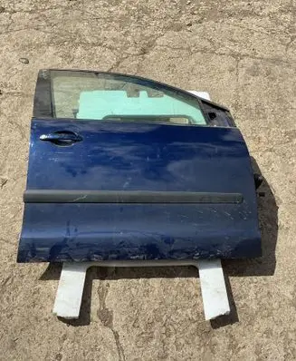 Volkswagen Polo Front door 