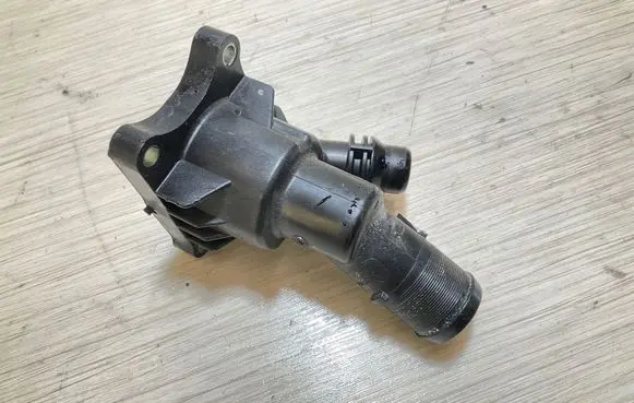 Thermostat/thermostat housing