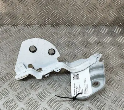 Tesla Model 3 Engine bonnet/hood hinges 164384600A