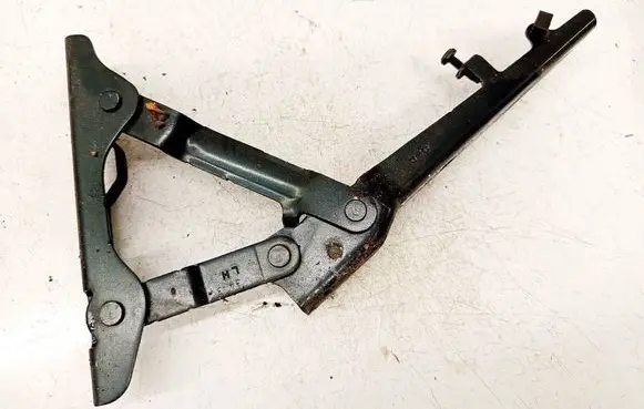 Tesla Model S Engine bonnet/hood hinges 600673800E