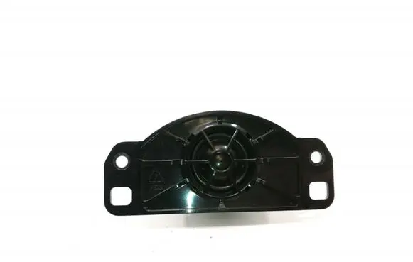 Panel speaker