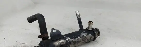 Opel Signum EGR valve cooler 55182589
