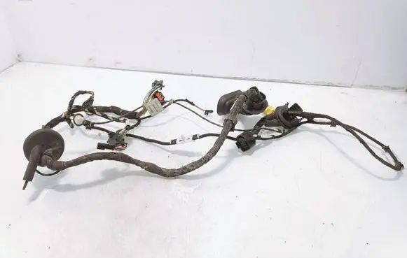 Audi A6 S6 C6 4F Front door wiring loom 4f1971030a