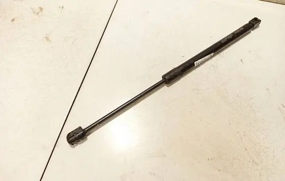 Tailgate/trunk strut/damper