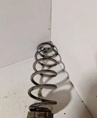 Rear coil spring