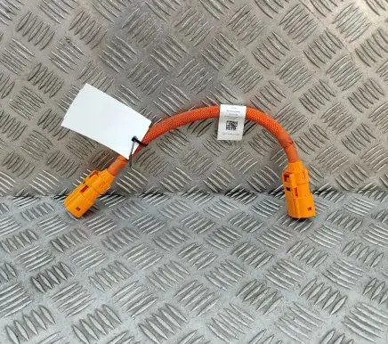 Porsche Taycan 9J1 Other wiring loom 9J1971061A