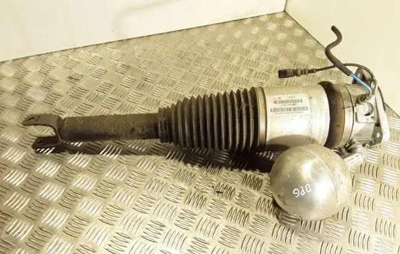 Volkswagen Phaeton Rear shock absorber/damper 3D0616002K