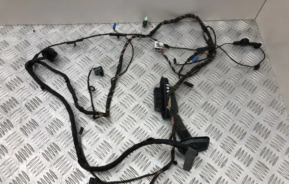 Front door wiring loom