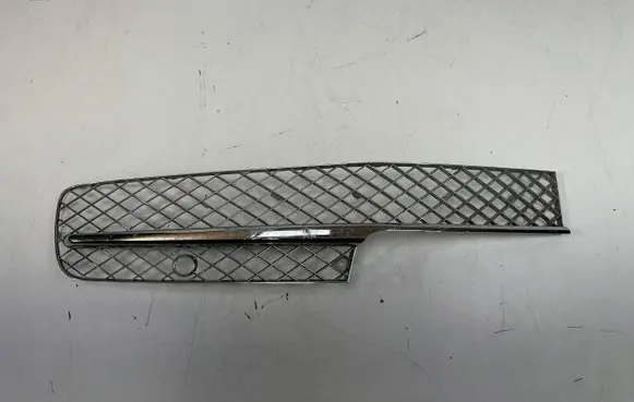 Bentley Flying Spur Front bumper lower grill 14142541z