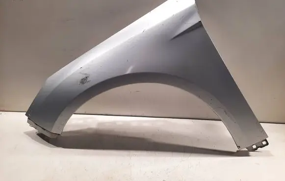 Ford Focus Fender