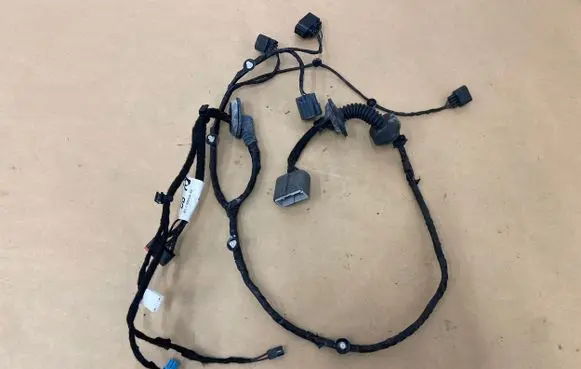 Rear door wiring loom