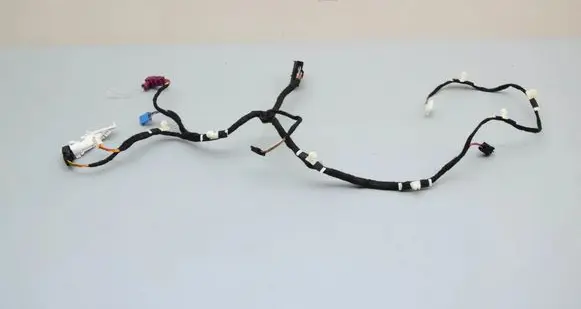 BMW X1 U11 Front door wiring loom 5A5D5C5 5A5CF93