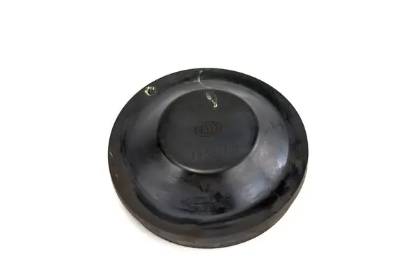 Volkswagen Golf VI Headlight/headlamp dust cover 153873
