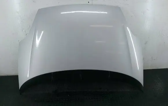 Fiat Punto Evo Engine bonnet/hood 