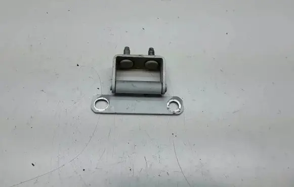 Tailgate/trunk/boot hinge