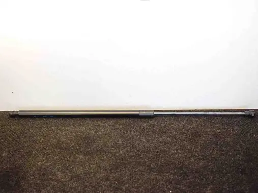 Tailgate/trunk strut/damper