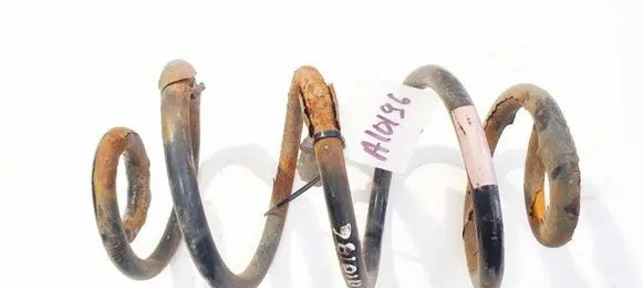 Rear coil spring
