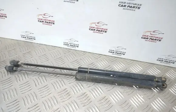 Opel Signum Tailgate/trunk strut/damper 9180256