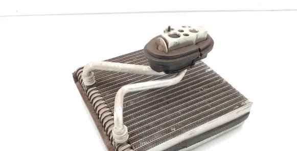 Volkswagen Golf V Air conditioning (A/C) radiator (interior) 1K1820103