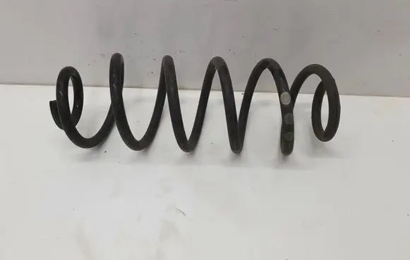 Rear coil spring