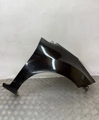 Ford Fiesta Fender