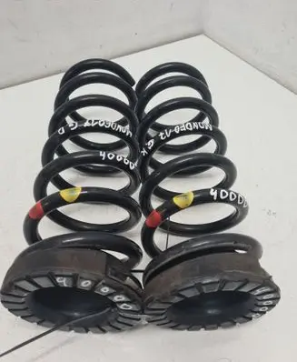 Rear coil spring