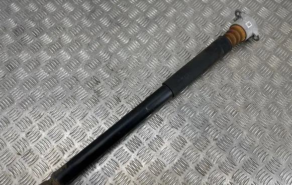 Ford Ecosport Rear shock absorber/damper CN1518159AA