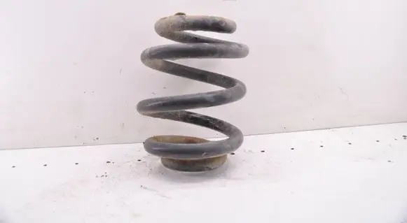 Rear coil spring