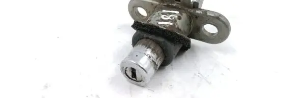 BMW 3 E36 Tailgate exterior lock 196042456