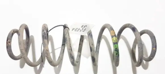 Seat Ibiza III (6L) Rear coil spring