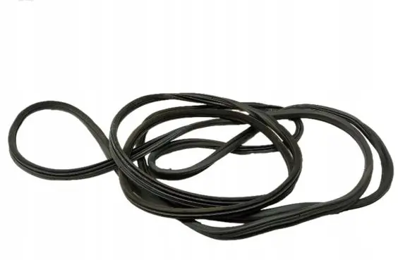 Citroen DS5 Rubber seal front door (on door) 