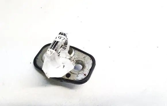 Peugeot 308 Front door lock loop/hook striker 9655466380
