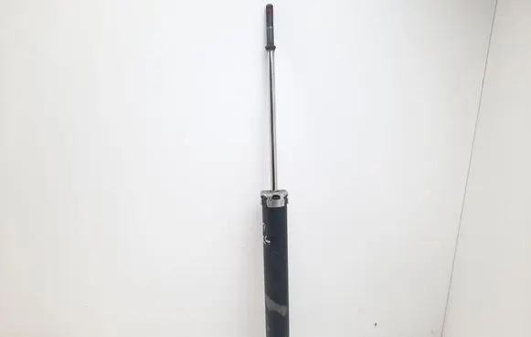 Toyota Prius (XW30) Rear shock absorber/damper 4853047080