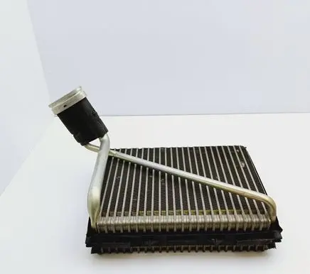 Volkswagen PASSAT B5.5 Air conditioning (A/C) radiator (interior) 