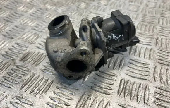Citroen Xsara Picasso EGR valve 216046799 62934184