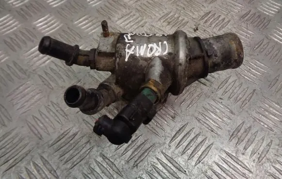 Thermostat/thermostat housing