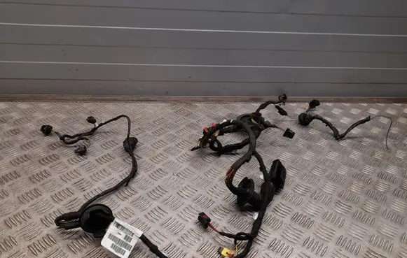 Audi A7 S7 4G Front door wiring loom 4G8971029EJ