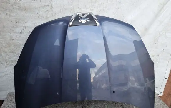 Peugeot 4007 Engine bonnet/hood