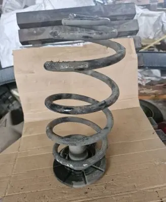 Opel Zafira A Rear coil spring